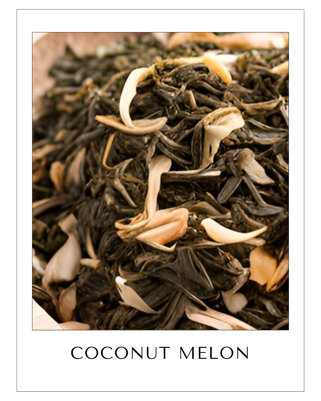 COCONUT MELON