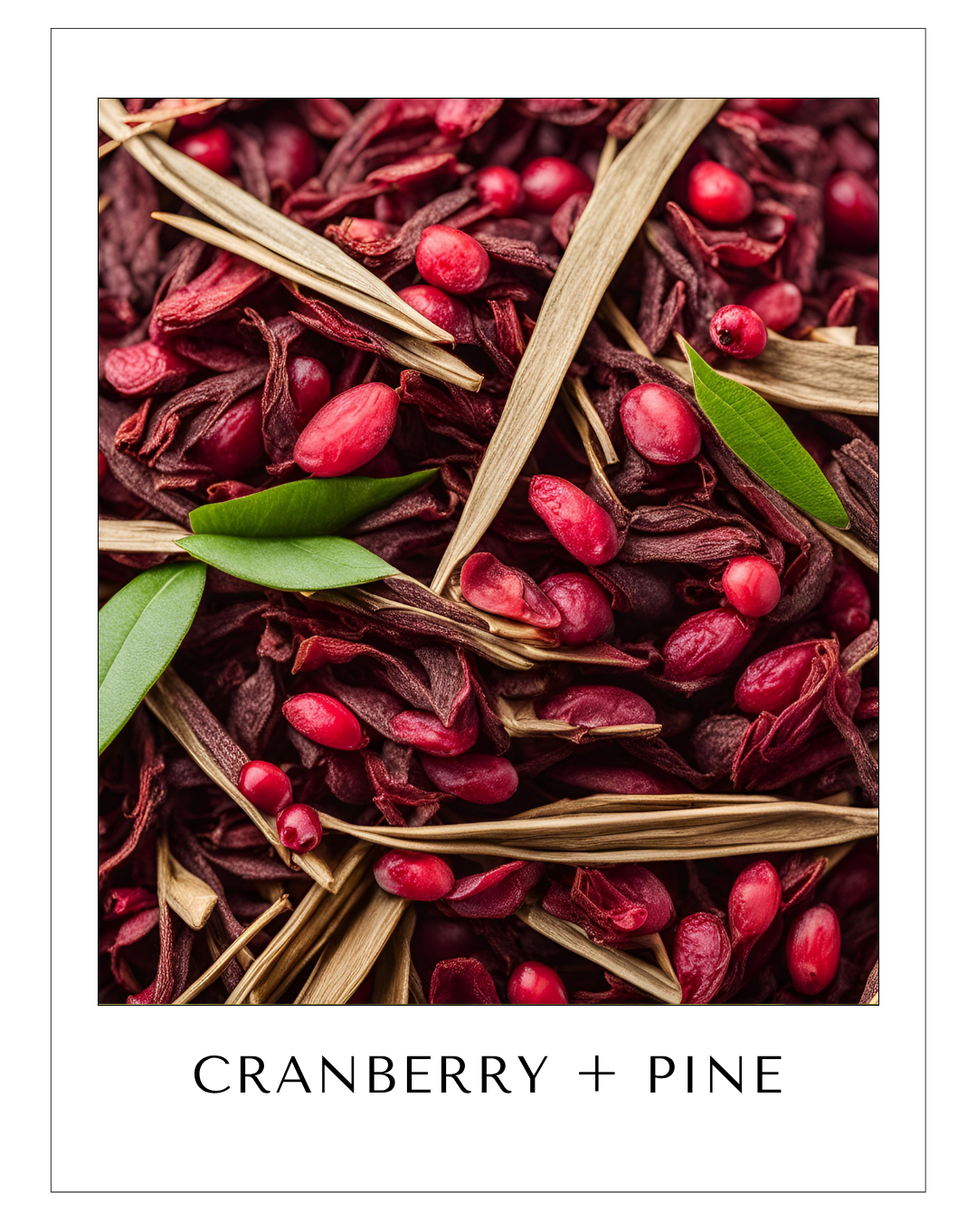 CRANBERRY + PINE