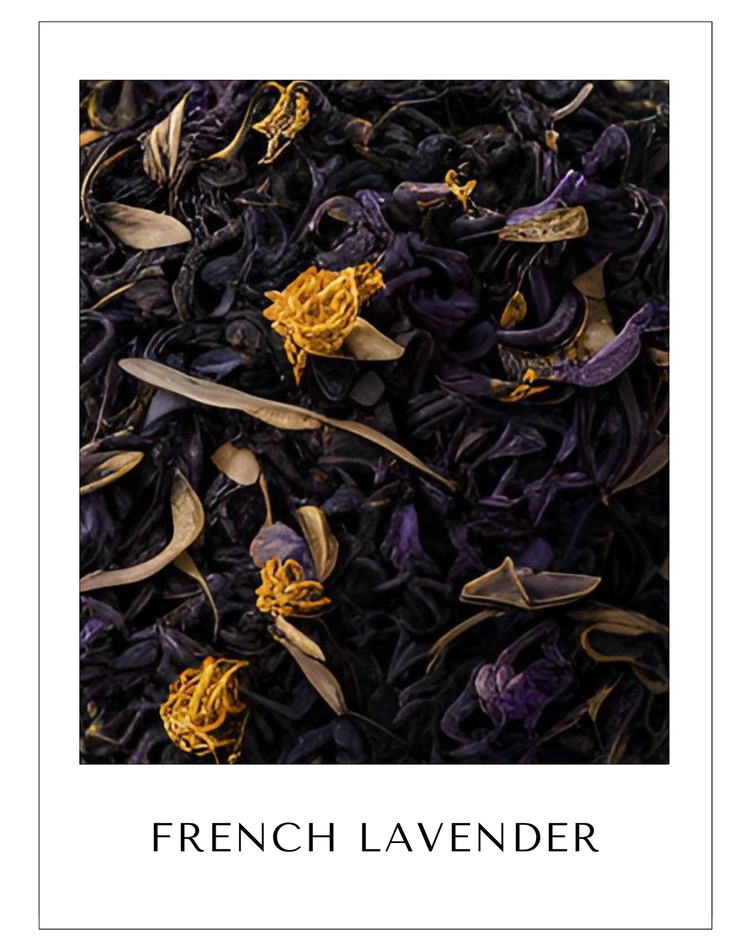 French Lavender