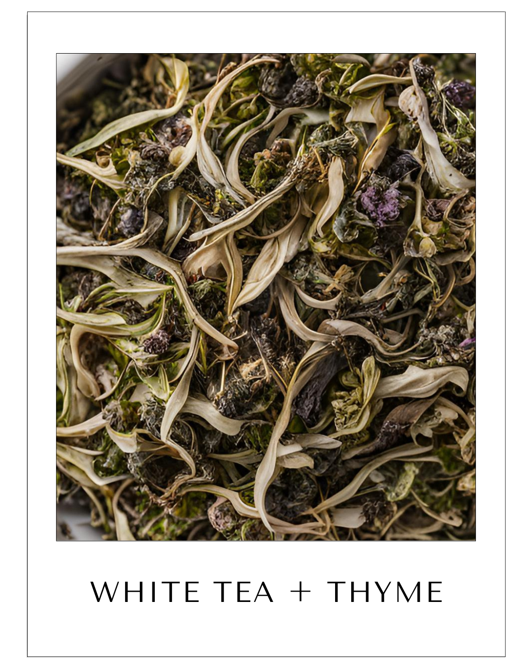 WHITE TEA + THYME