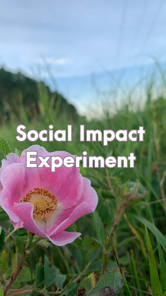 Social Impact ExperiMINT