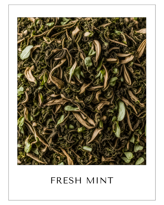 FRESH MINT