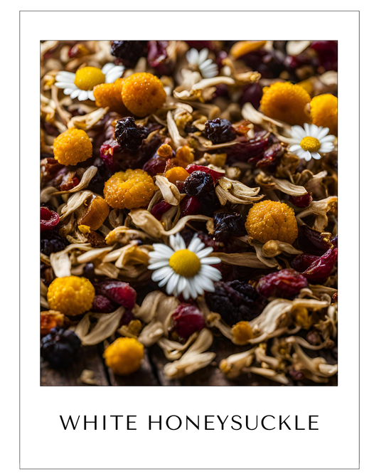 White honeysuckle