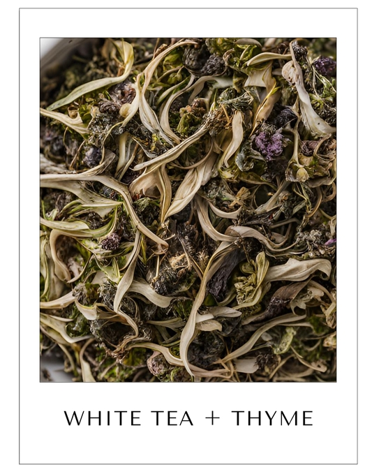 WHITE TEA + THYME