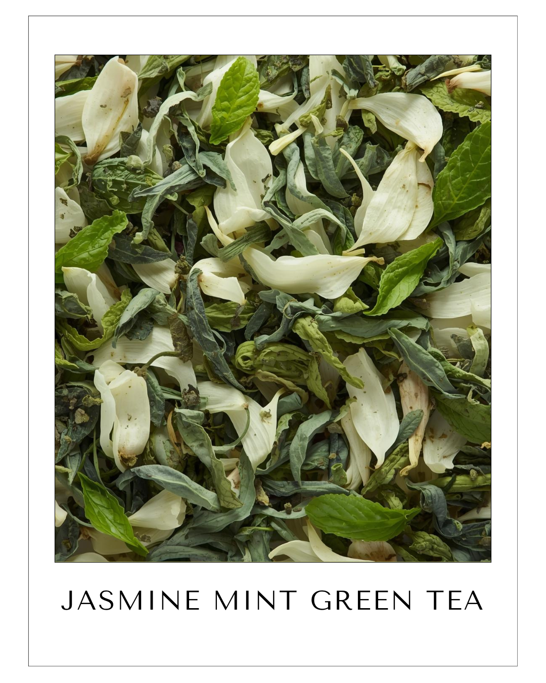 Jasmine Mint Green Tea
