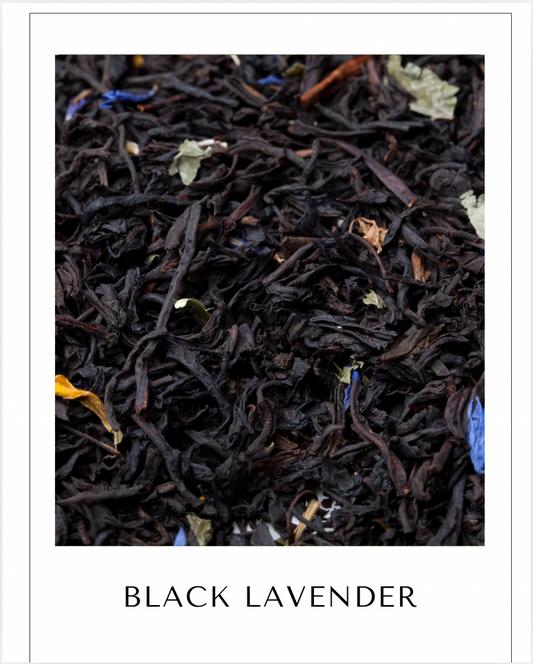 Black Lavender