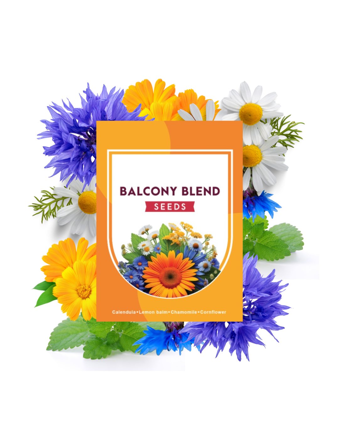seeds for balcony garden Balcony Blend